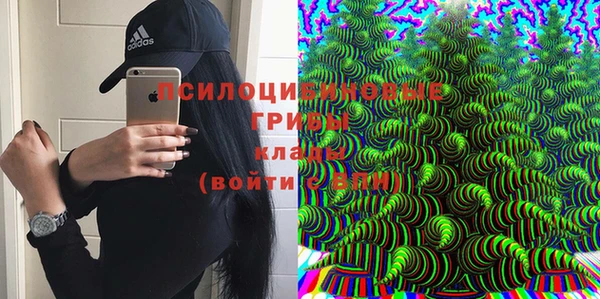 мдма Заволжск