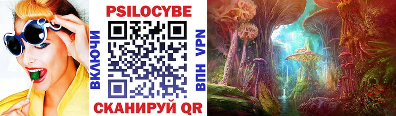 продажа наркотиков  Сосновоборск  Псилоцибиновые грибы Psilocybine cubensis 